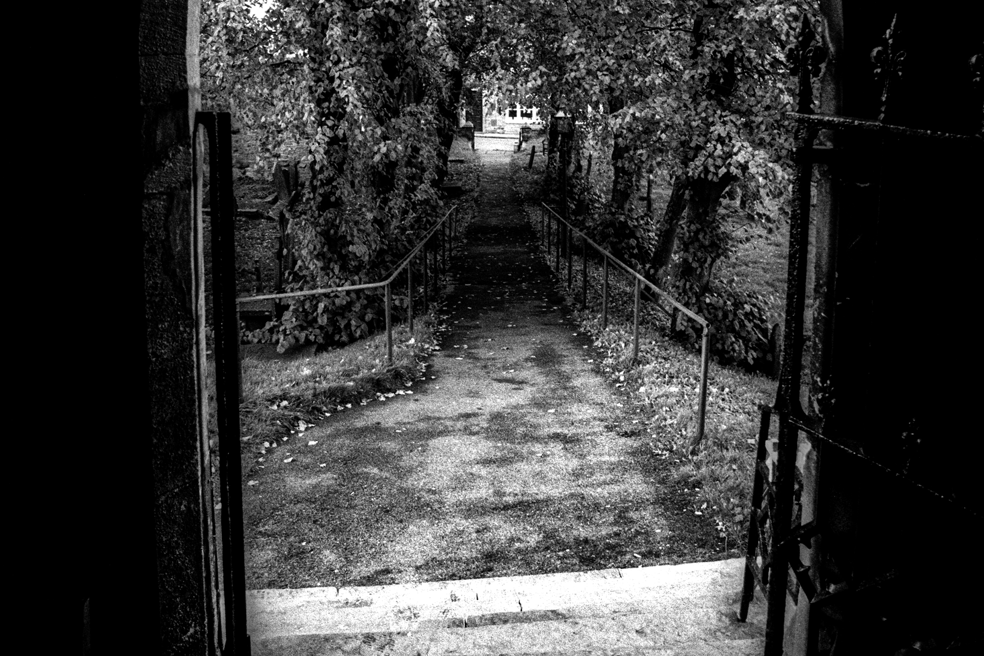An ancient entrance to an enchanting path