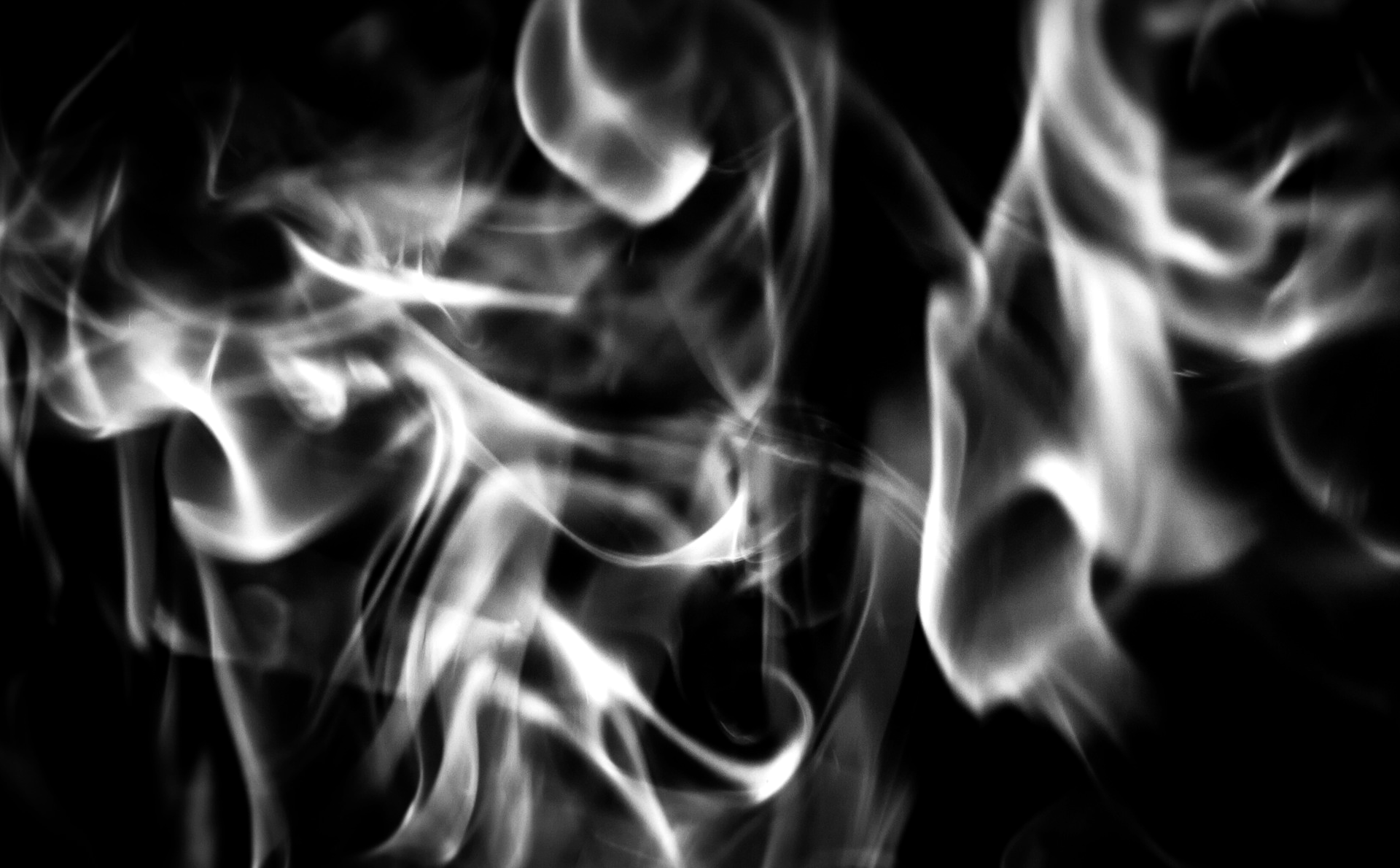 The stupid, it burns