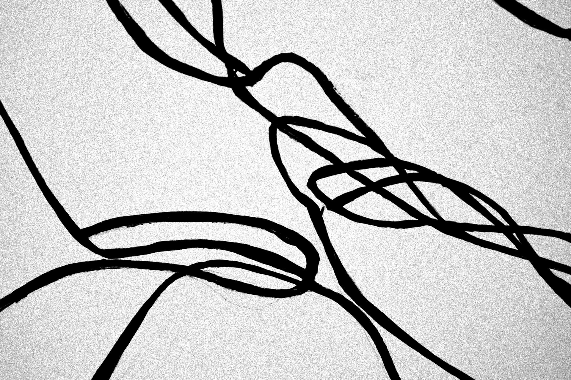 An ink sketch on a napkin